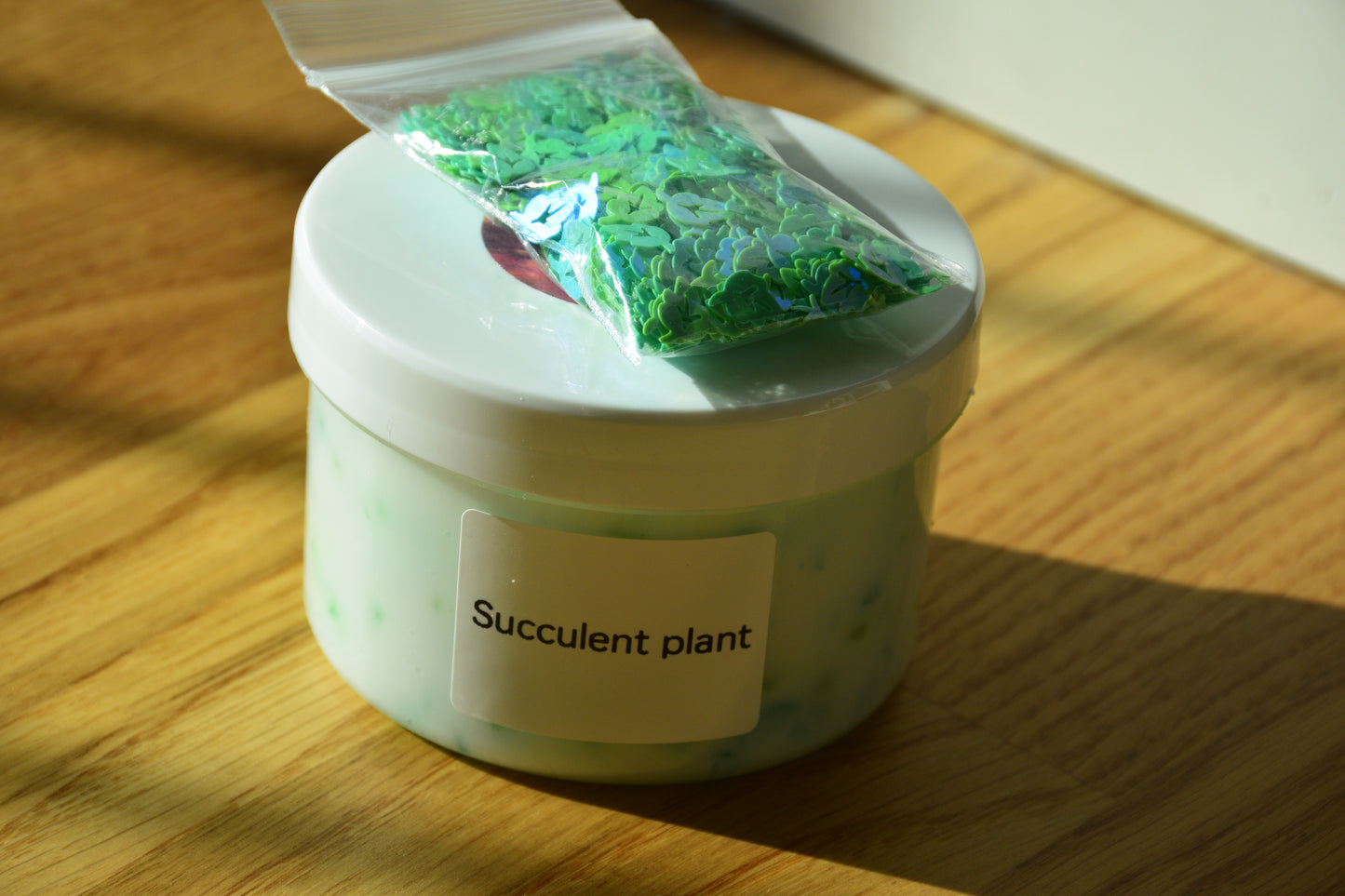 Succulent plant