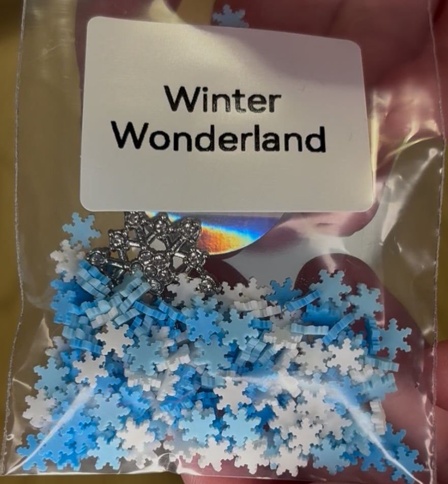 Winter wonderland