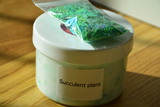 Succulent plant