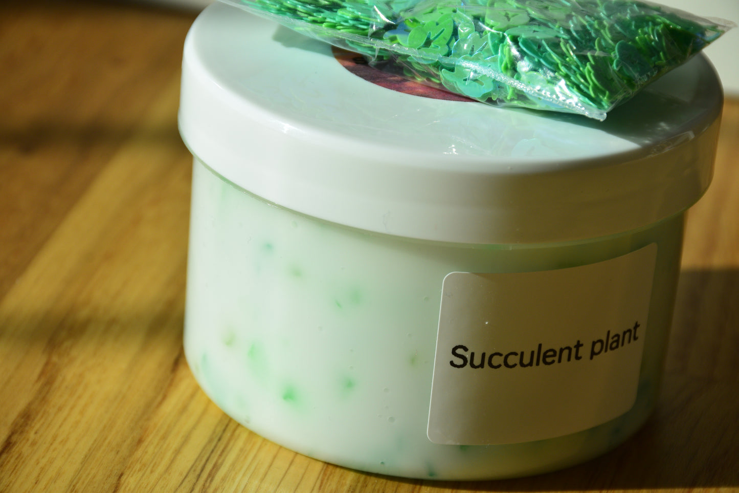 Succulent plant